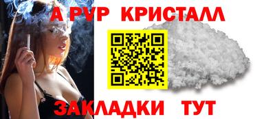 крисы Кулебаки