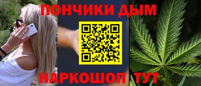 крисы Кулебаки