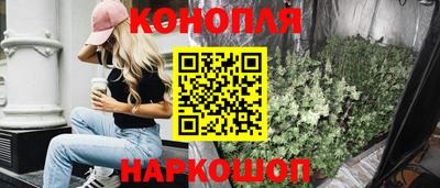 крисы Кулебаки
