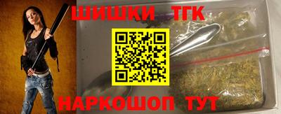 крисы Кулебаки