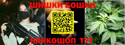крисы Кулебаки