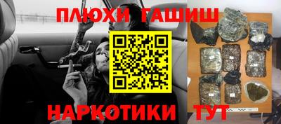 крисы Кулебаки