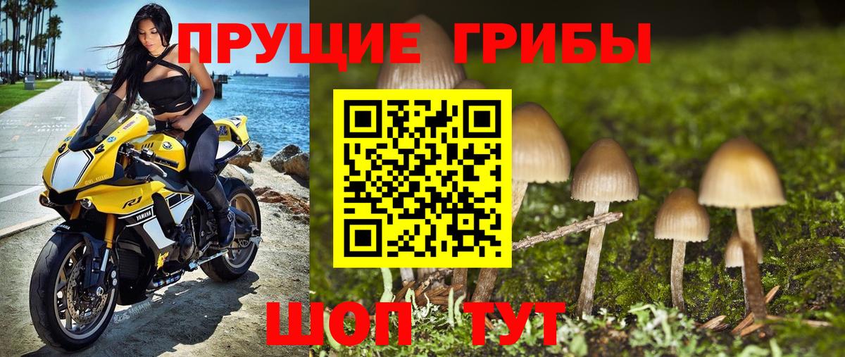 Галлюциногенные грибы GOLDEN TEACHER Жуковский